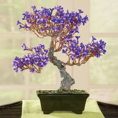 Hemoton Artificial Plum Blossom Flowers in Vase Japanese Style Fake Plum Branches Simulation Flower Faux Plant Bonsai for Sushi Dish Decor Restaurant Table Centerpiece White Hemoton Artificial Plum Blossom Flowers in Vase Japanese Style Fake Plum Branches Simulation Flower Faux Plant Bonsai for Sushi Dish Decor Restaurant Table Centerpiece White